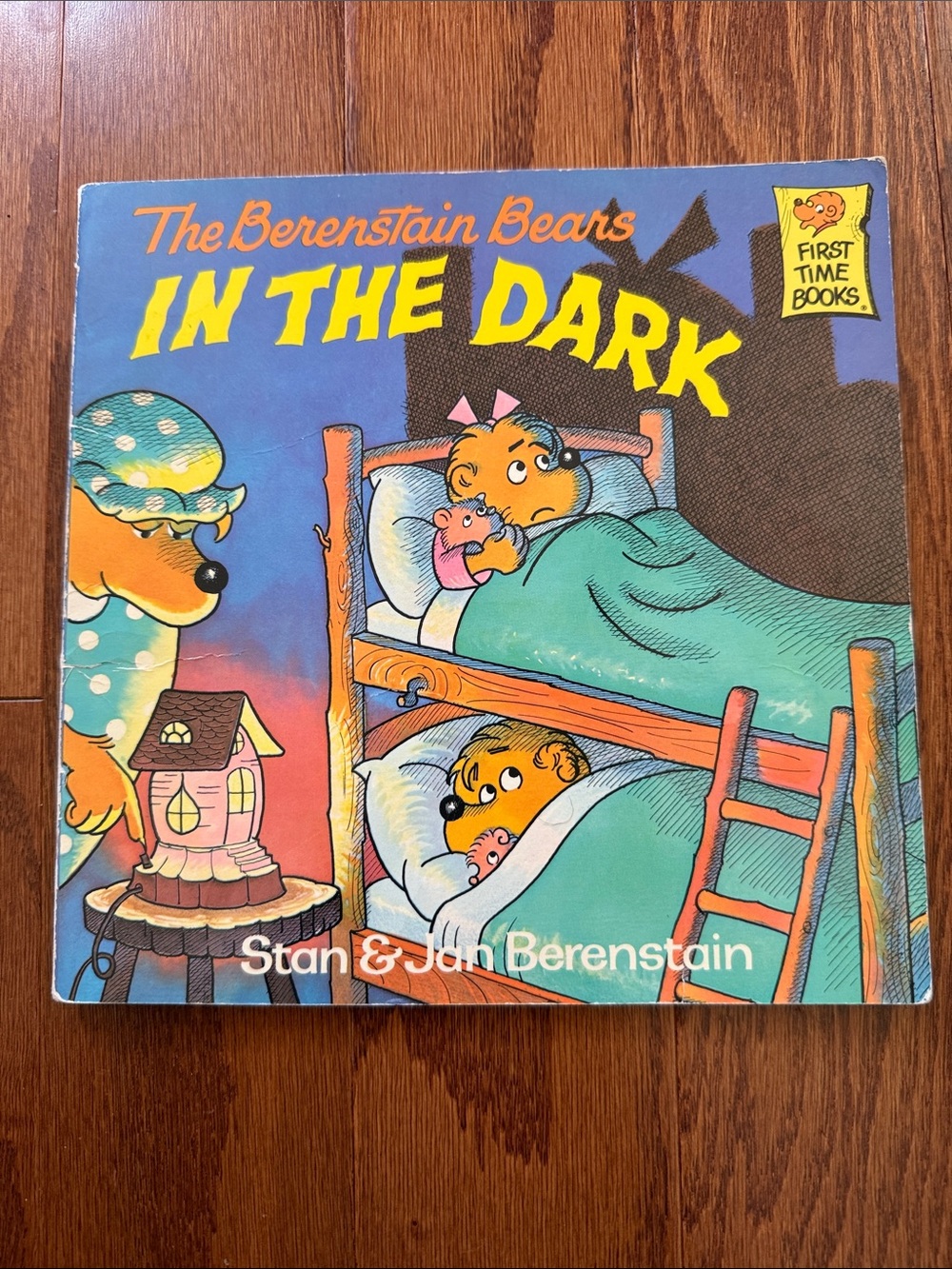 Vintage 1982 The Berenstain Bears In the Dark Stan and Jan Berenstain